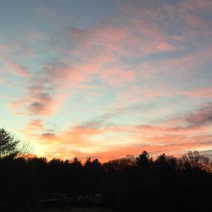 Meet your Posher, Addison